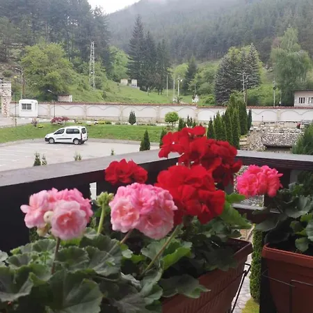 Apartament и студия 